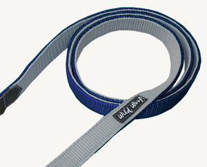 City leash with a handle