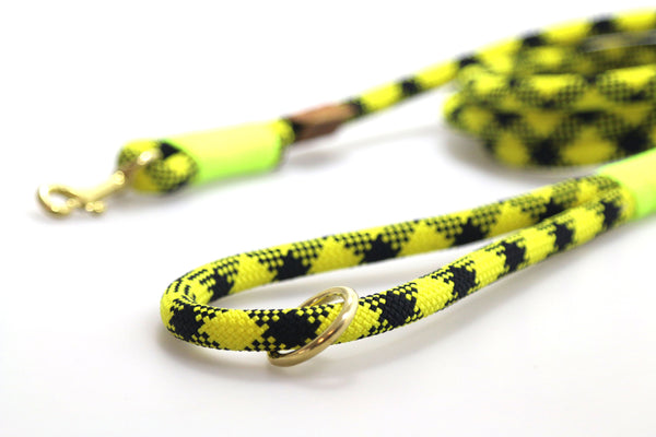 Wild Climb rope leash with handle
