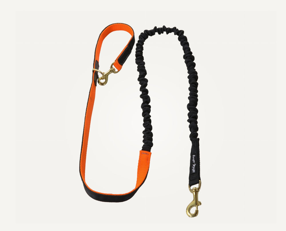 Leash with shock absorber and two carabiners Orange + Black