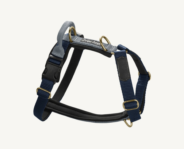 Guard Full Option harness 2.5 cm