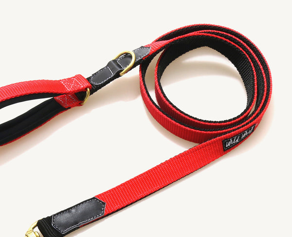 City leash with a handle