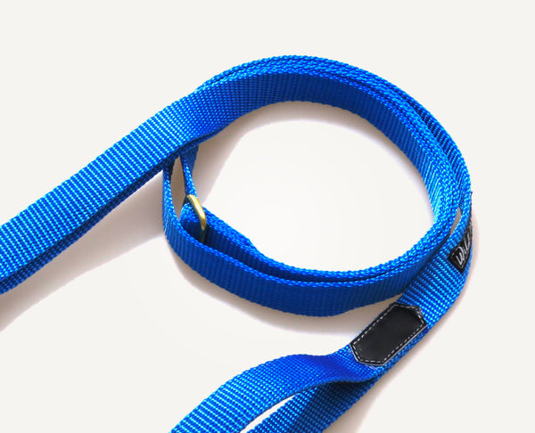 Adjustable leash with a handle and a 2.5 cm handle